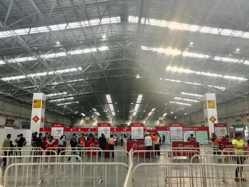萬人齊聚 共赴征途——2020義烏馬拉松報(bào)名正式啟動(dòng)